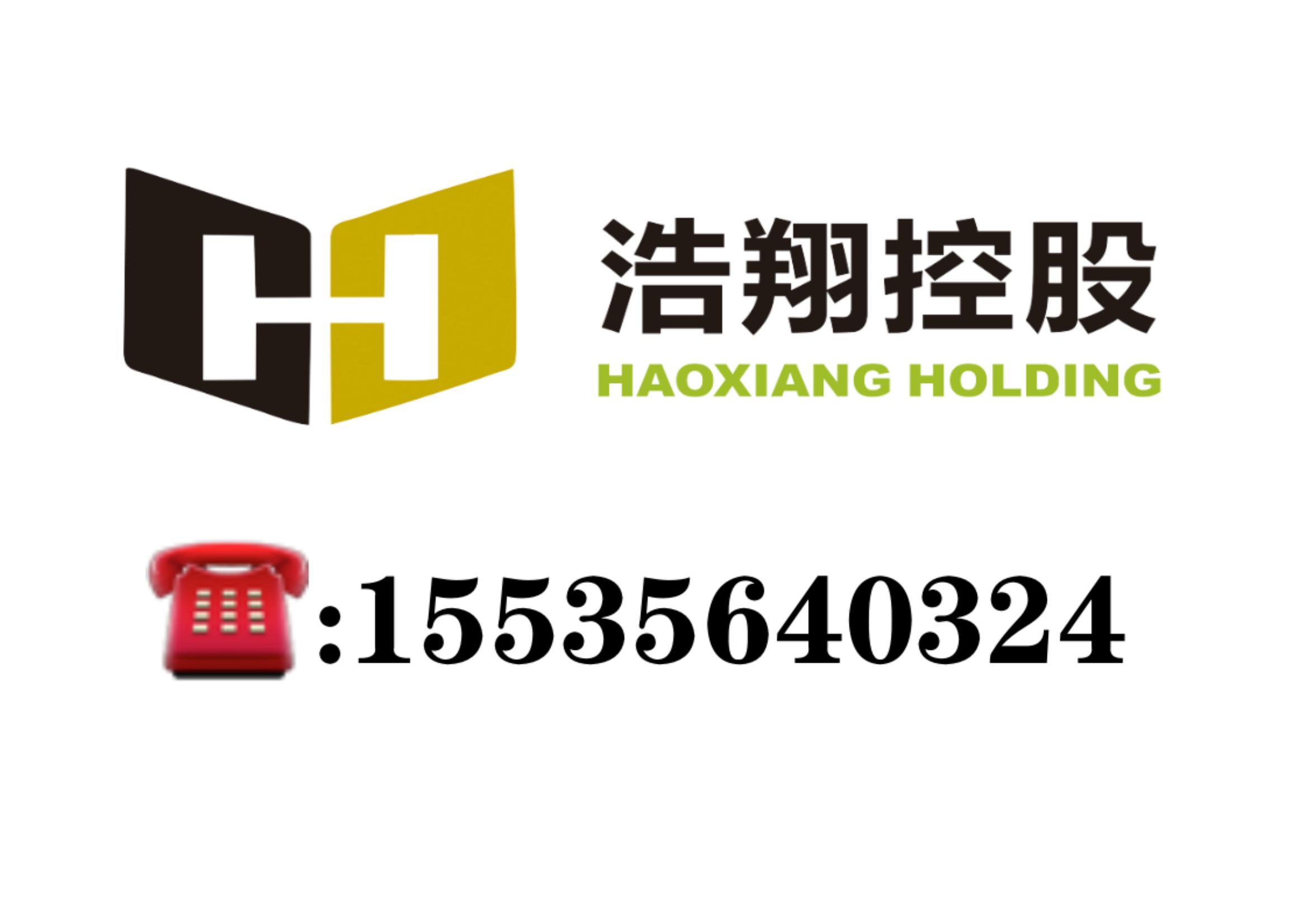 浩翔控股集團有限公司